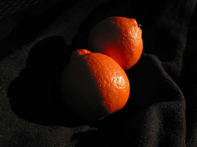 Dark Sides of Tangerine Moons