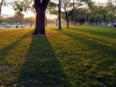 Shadow On The Mall