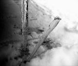 ICE *