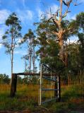 Tingalpa 3 *
