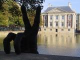 Greetings from the Hague *