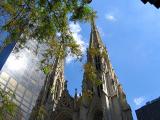 Cathedral*