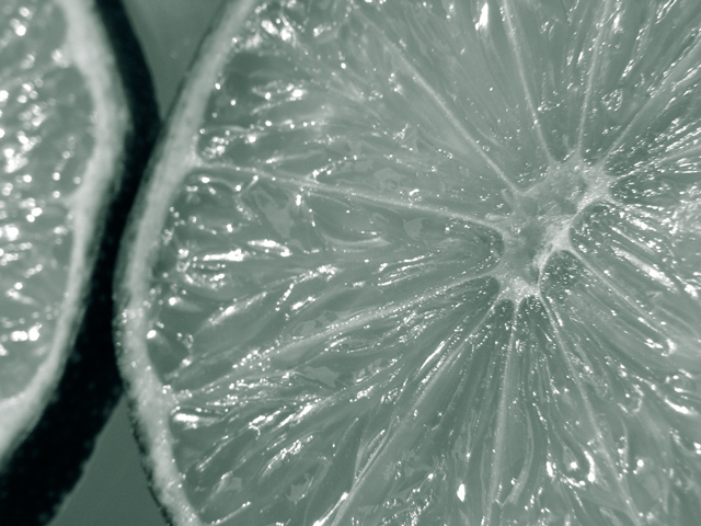 <b><i>Limes</i></b>