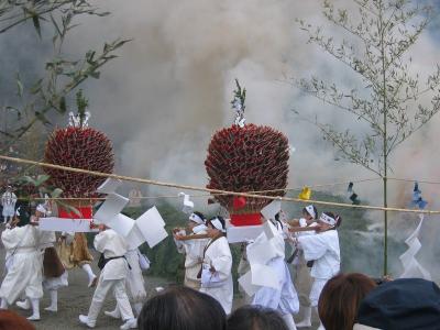 IMG_8798.jpg