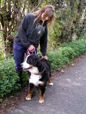 The Bernese