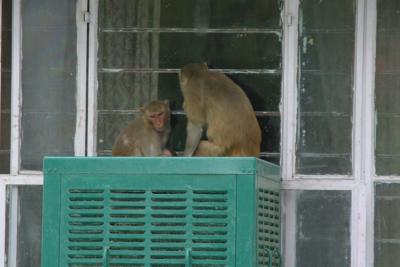 Visitors
