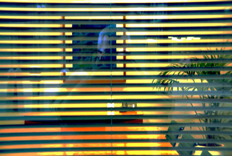blinds