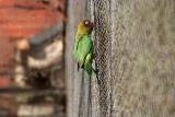 IMG_4835.jpg