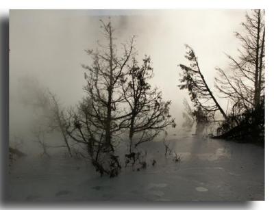Mammoth Hot Springs, Yellowstone