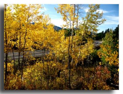 Roadside Colors, Grand Teton National Park