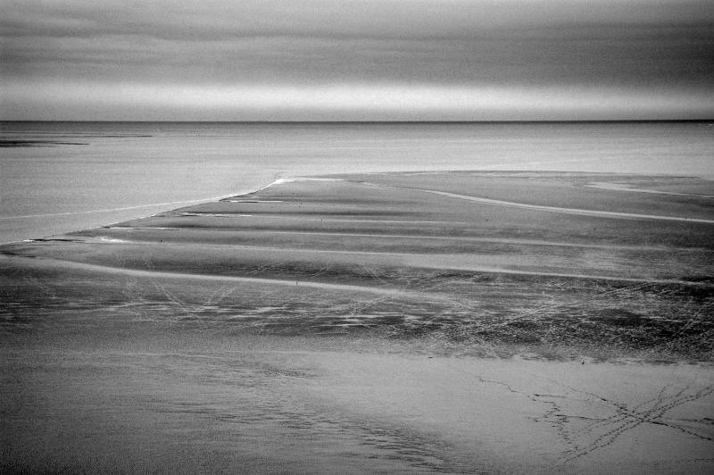 _DSC8239 copy.jpg