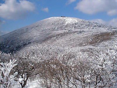 The Summit (1,568 meters)