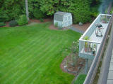 rear shed.jpg