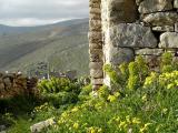 Stones decorated in green...