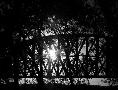 bridge leaves sun b and w.jpg
