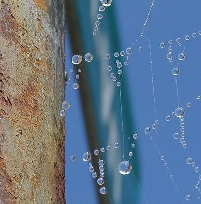 web and dew close