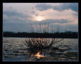 sunset puddle reflection