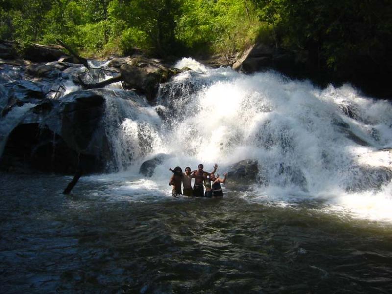 BANANA in the waterfall.jpg