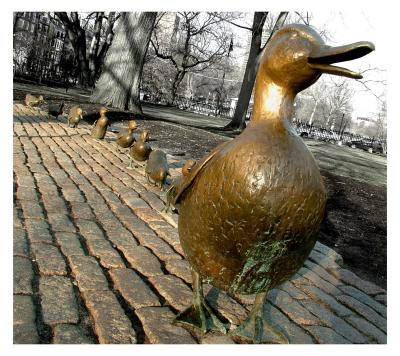 3/25: Make Way for Ducklings, Boston Public Garden