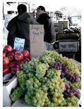 Fruitsellers, Haymarket