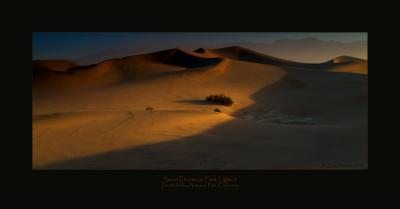 Sand Dunes at First Light-3