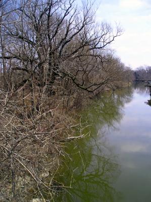 Gnarly Ellicott Creek