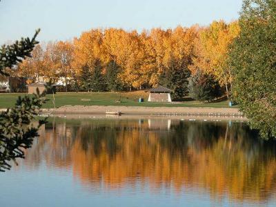 Fall colours on the Lake