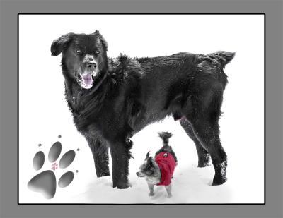 Mutt & Jeff