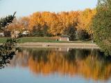 Fall colours on the Lake