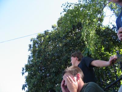 IMG_1391.jpg