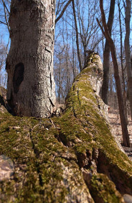 DSC_4198.jpg