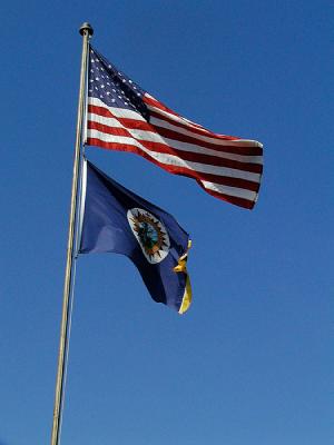 PA080439.jpg
