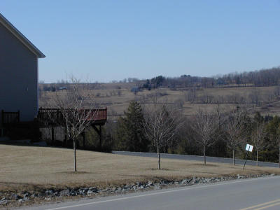 Pics & Pano of Valley