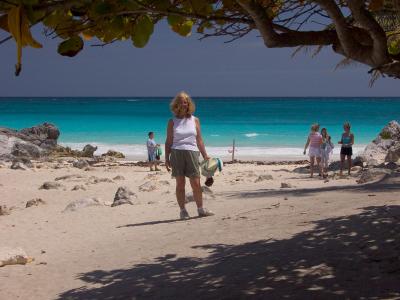 Beautiful beaches were almost as common as the iguanas.