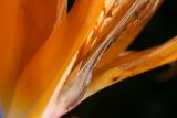 March 23, 2005<br>New Lens