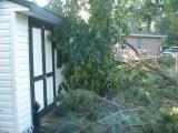 Debris on my shed