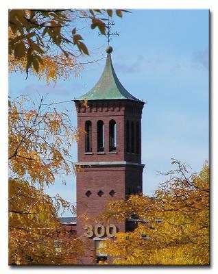 PA243565i.jpg