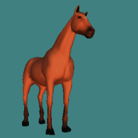 Horse