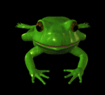 Frog
