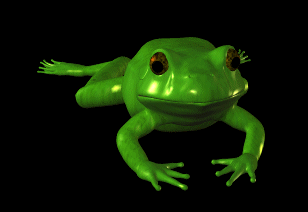 Frog