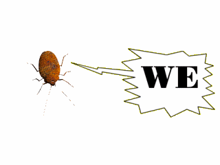 WEWEWE
