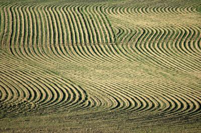 Farm Patterns