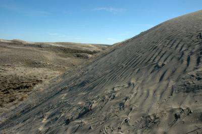Going up the First Dune