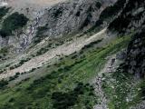 Cascade Peak Greenery