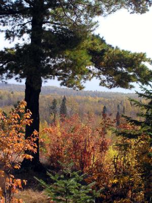 overlook-bloomquist mt   2003