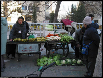 A Booth at the Farmer's Market