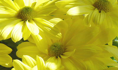 Yellow!