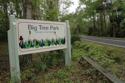 Big Tree Park in Lake Mary, Florida