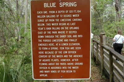 The Springs