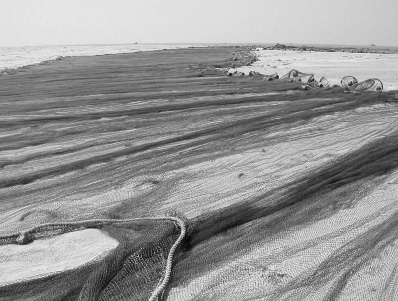 Drying Nets
